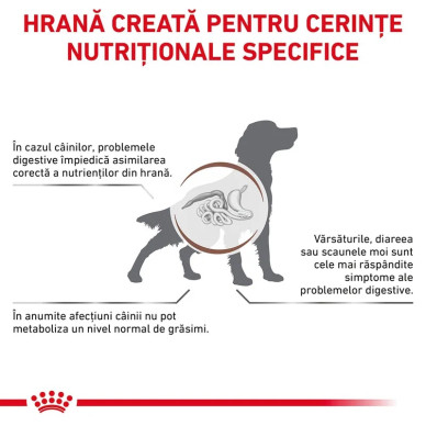Royal Canin Veterinary Canine Gastrointestinal Low Fat – Hrană Uscată pentru Câini cu Afecțiuni Pancreatice și Digestive, 6 kg